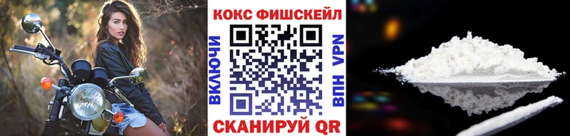 Купить закладки  Курганинск  COCAIN 98% 