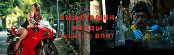 PSILOCYBIN Вяземский