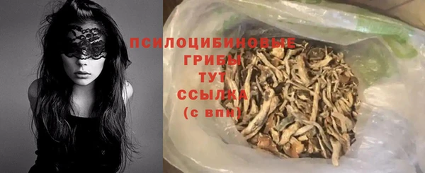 PSILOCYBIN Вяземский