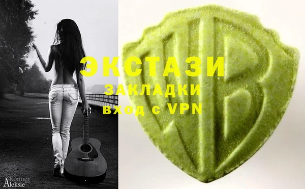 PSILOCYBIN Вяземский