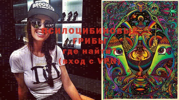 PSILOCYBIN Вяземский