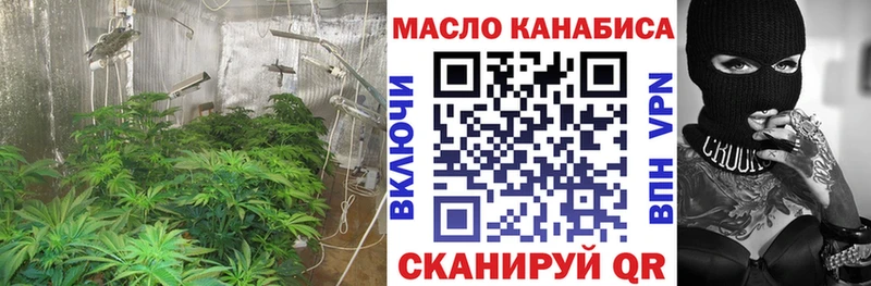 Купить где  Курганинск  ТГК концентрат 