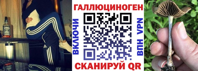 Купить  Курганинск  Псилоцибиновые грибы Magic Shrooms 